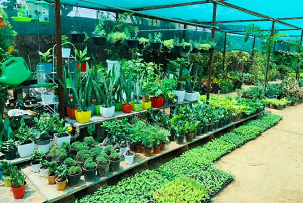Nursery