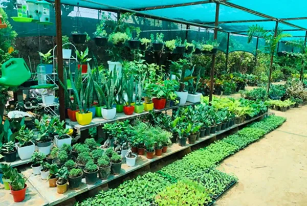 Nursery